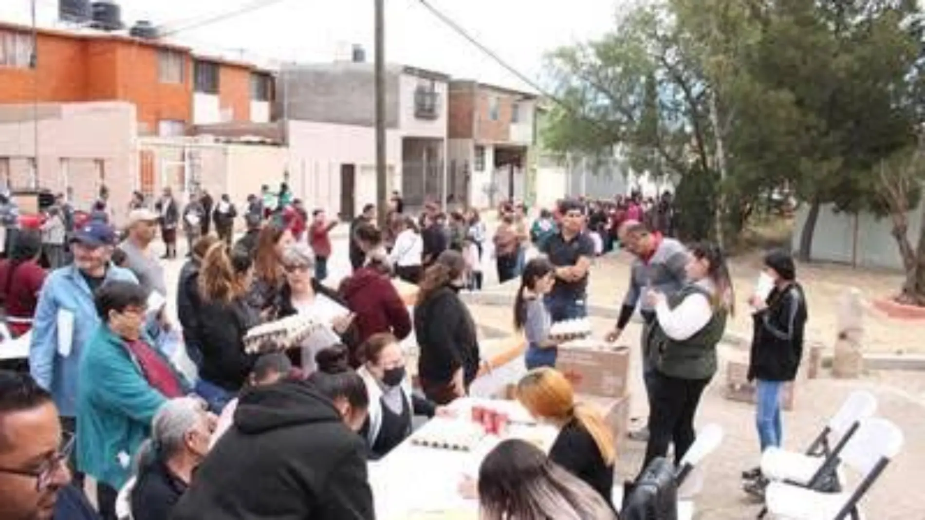 Canasta solidaria